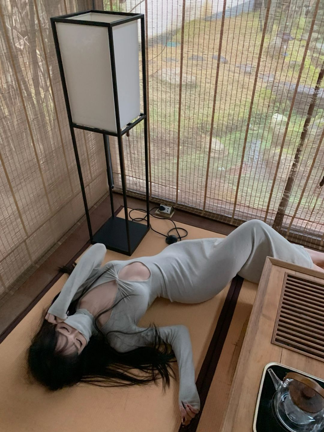 万蝶寻春