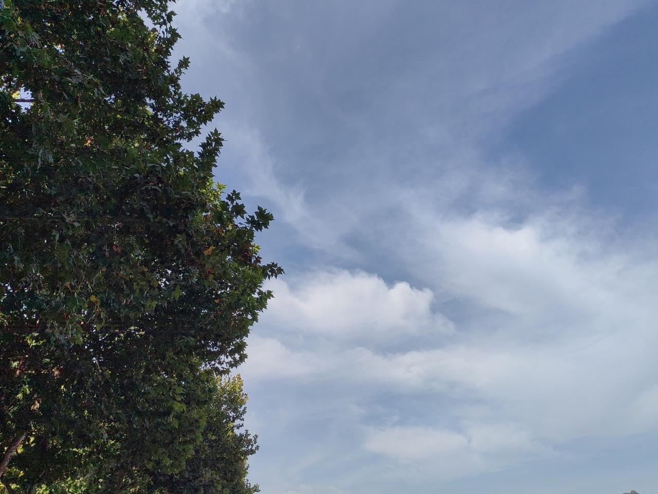早上7点零几分时，主干道十字路口西北角，一辆出租车右转速度较高，一摩托骑手急刹时