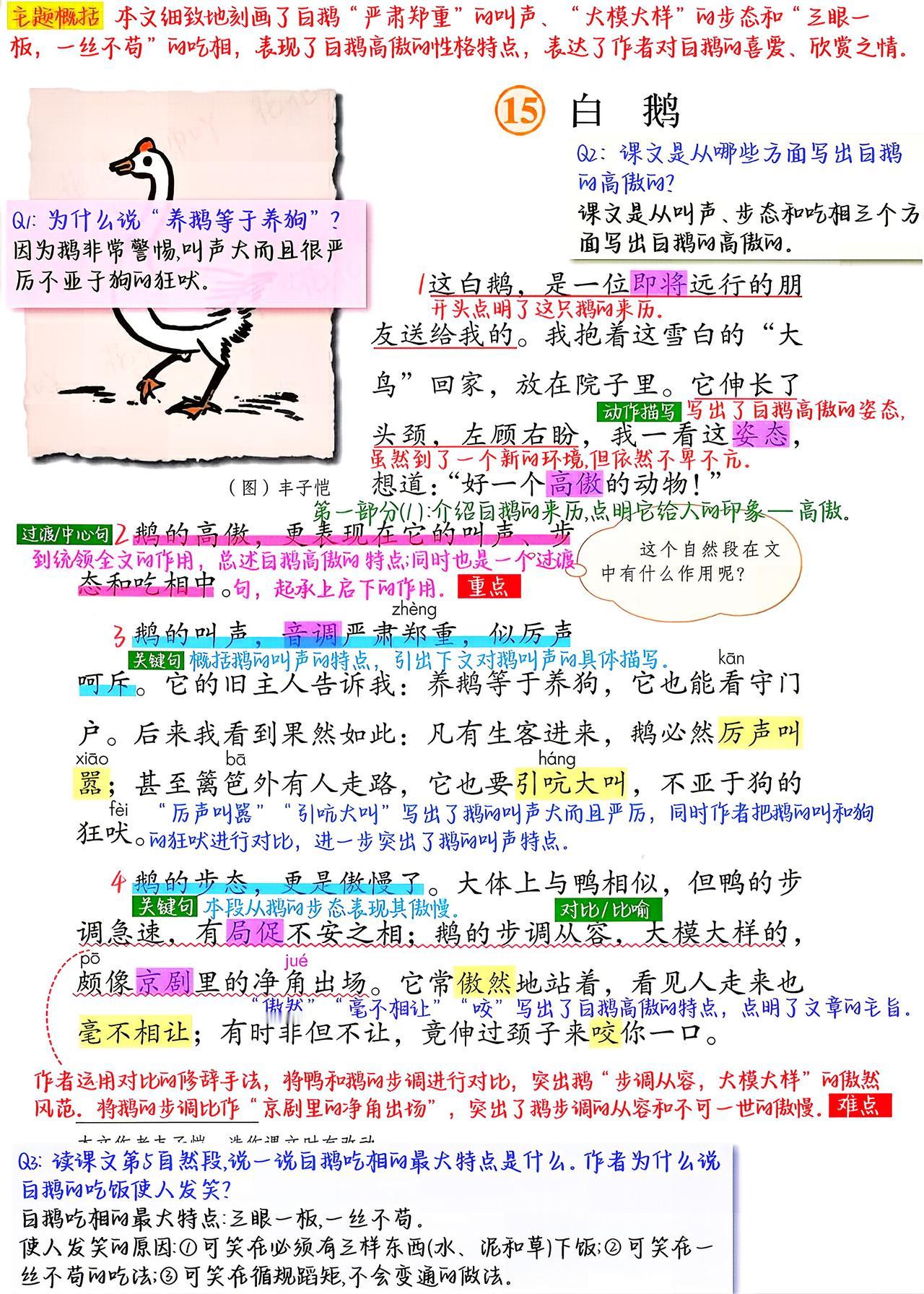四年级下册语文，第15课《白鹅》课堂笔记，收藏复习三年级语文