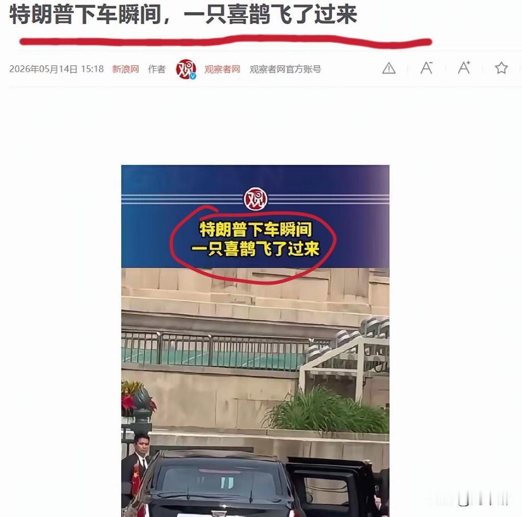 这是几个意思？怎么看不到喜鹊在哪儿呢？