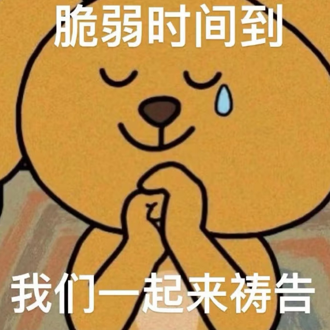 七月只有一个愿望：演唱会全勤！跟宝宝见面😭老天爷你听到了吗 