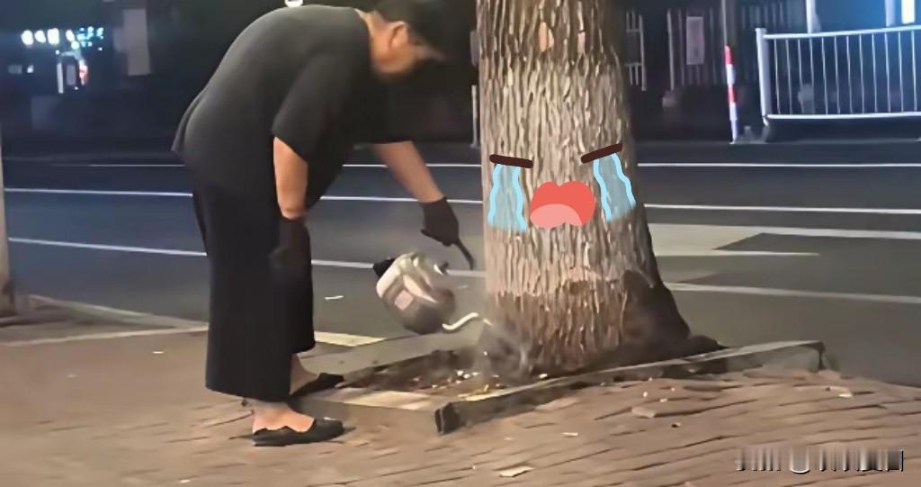 震惊，愤怒
浇树用水没错
但没让你用开水浇啊

沈阳大妈“浇树”连续14天提开水