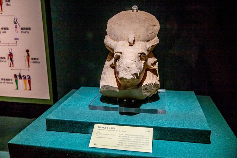 古埃及文明和中华文明哪个更厉害，这还真不好说。
古埃及文明有诸多令人惊叹之处。金