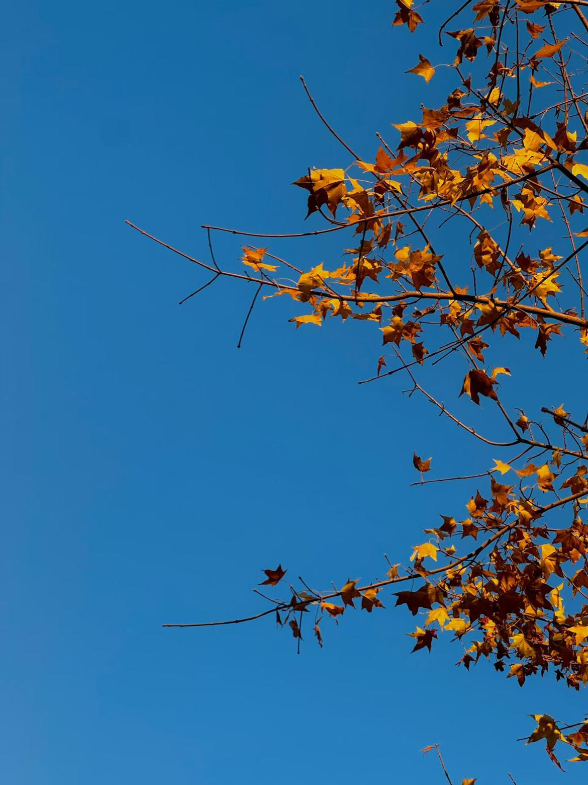 我的今日状态：😁轻松愉快
我这里的天气：☀️晴天