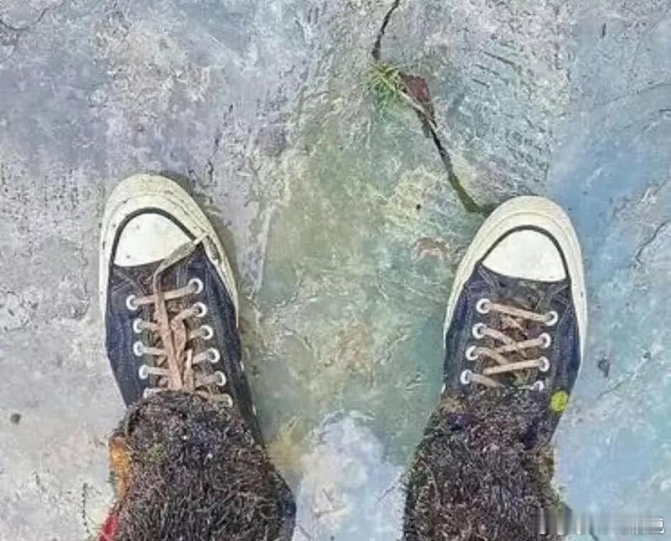 早上跟朋友去爬山，我该如何清洗这条裤子？ ​​​