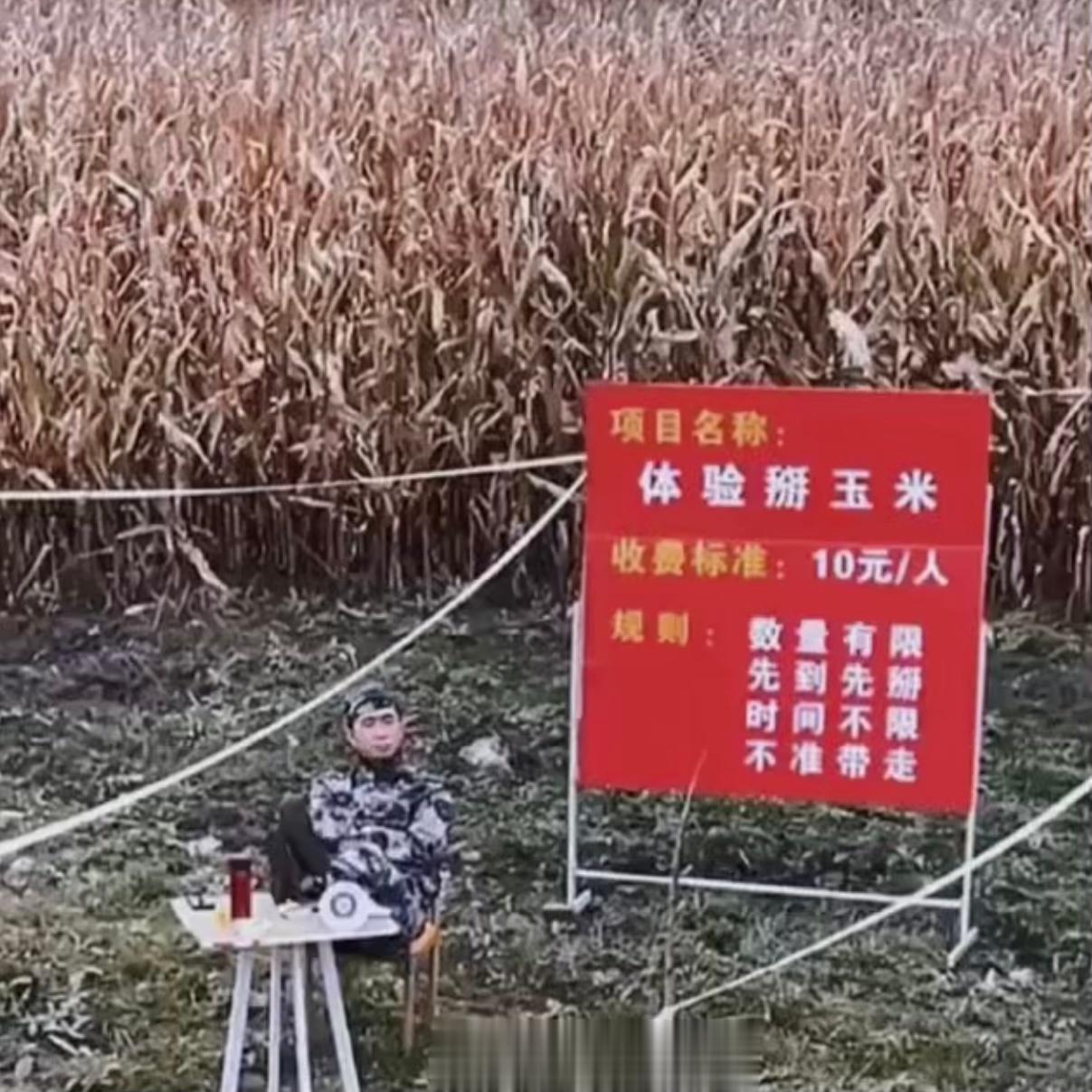 #付费打工#？？？？？？#超红幽默派对# ​​​