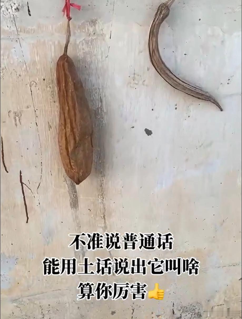 这个东西用你们的家乡话是叫啥？ 