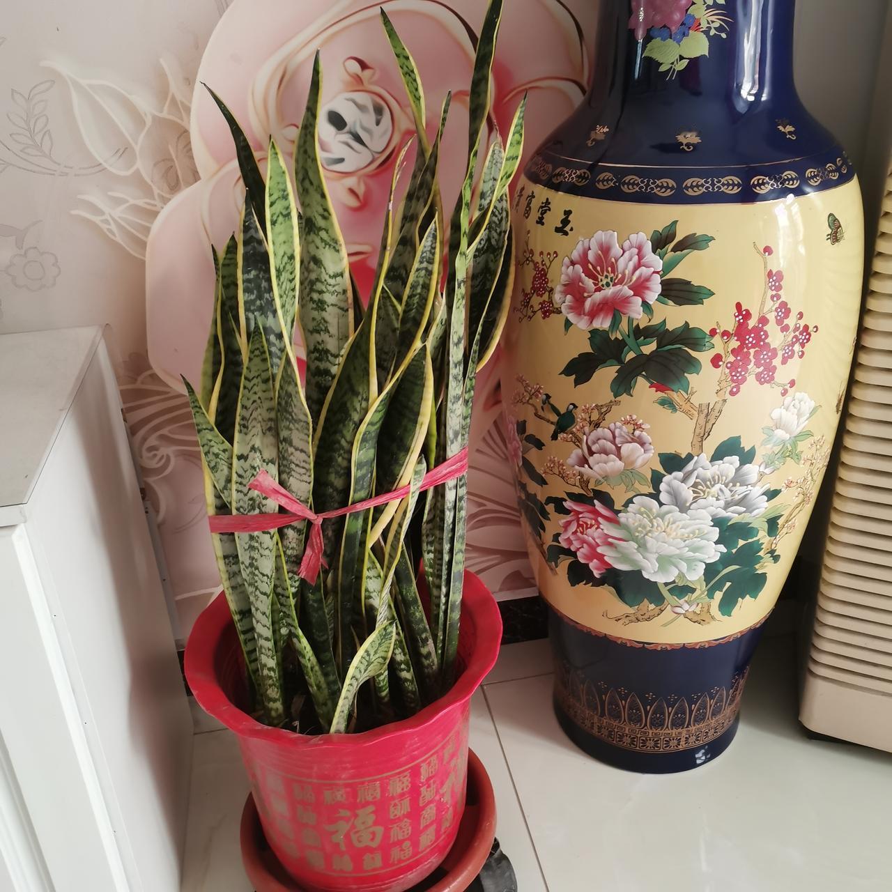 给2026的自己写句话争取在头条上今年得2026元，加油