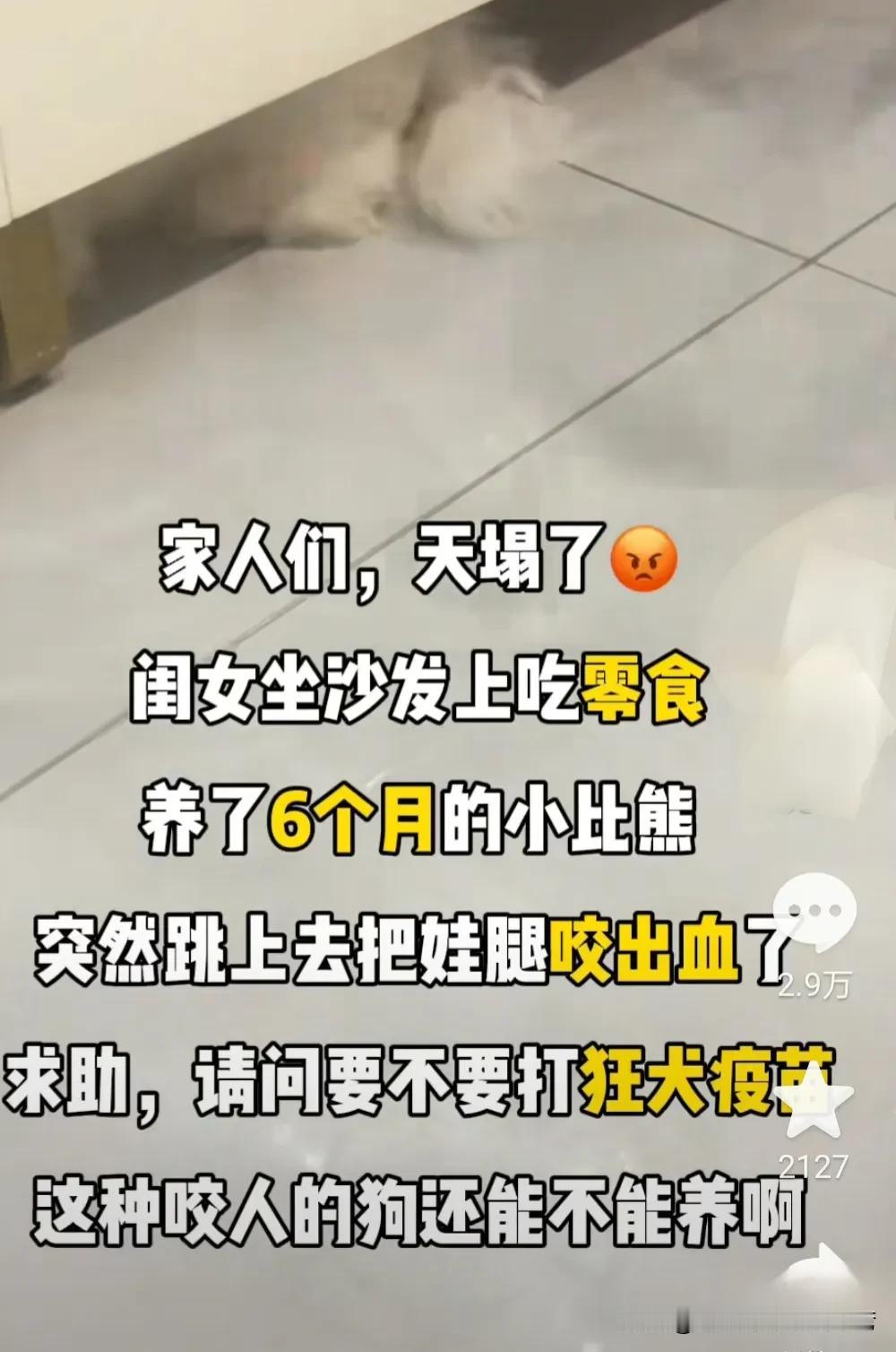 被狗咬了需要打狂犬疫苗吗？
今天看到一位网友说，
自己养的比熊咬了女儿，
正在纠