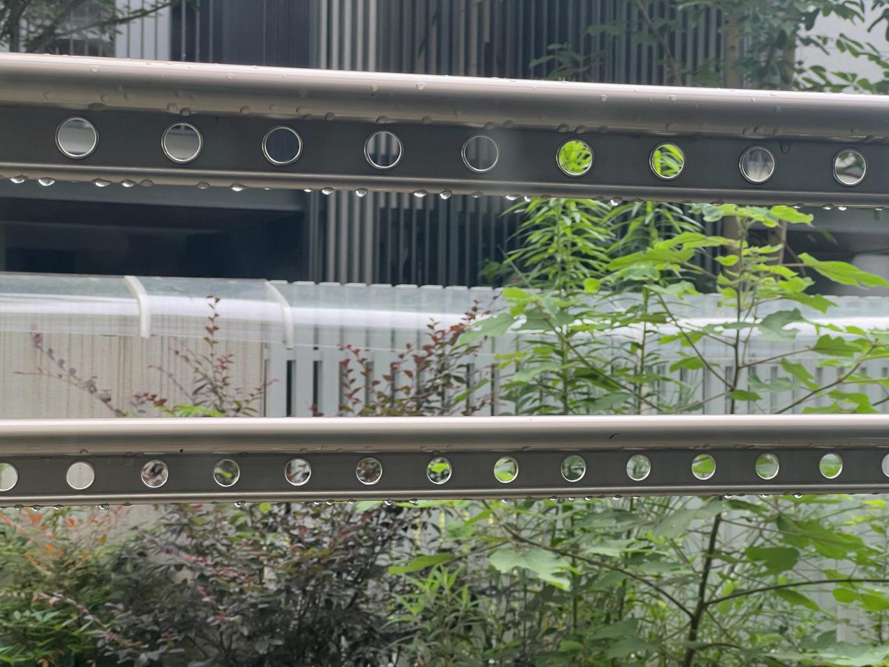 下雨天猫困狗乏
全家一起躺平摆烂了[笑哭]