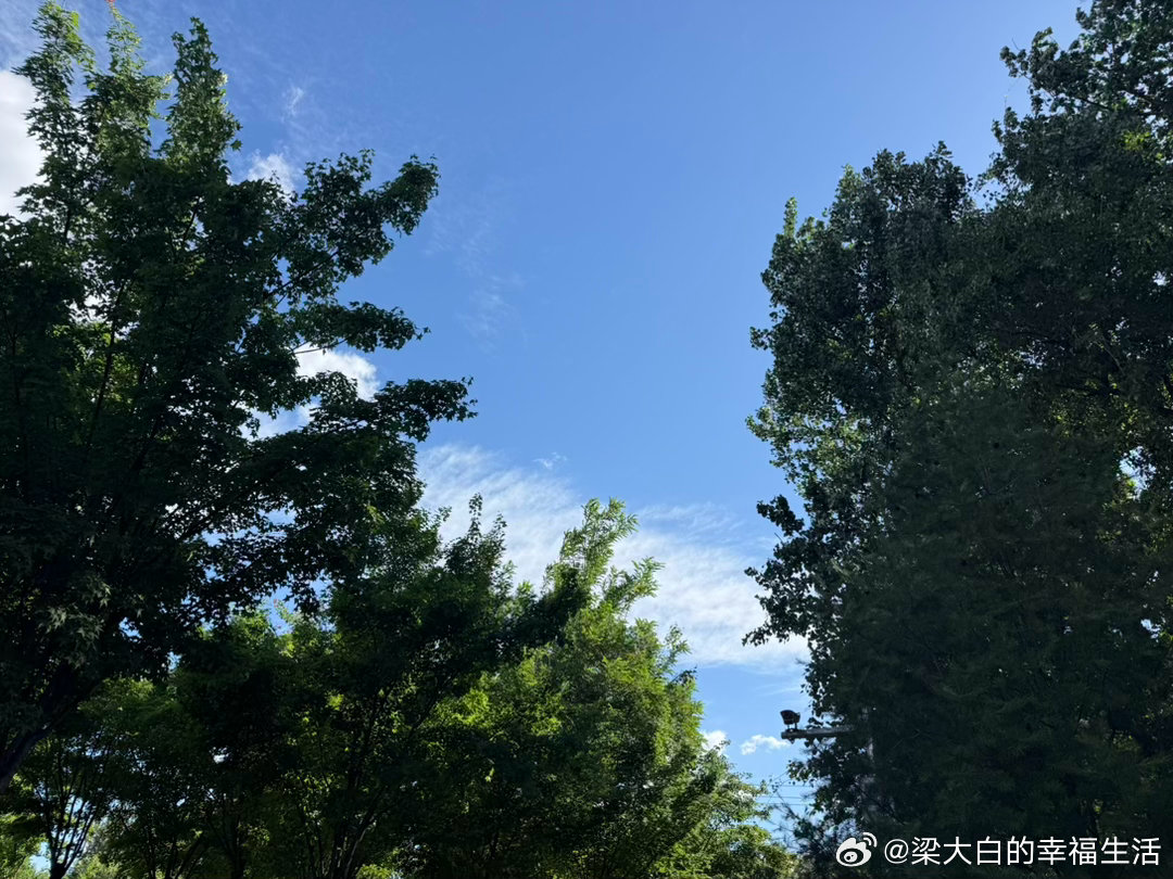 一大早起床，饿着肚子走到医院，测了一下激素，就是想看看我的激素水平掉到什么程度了