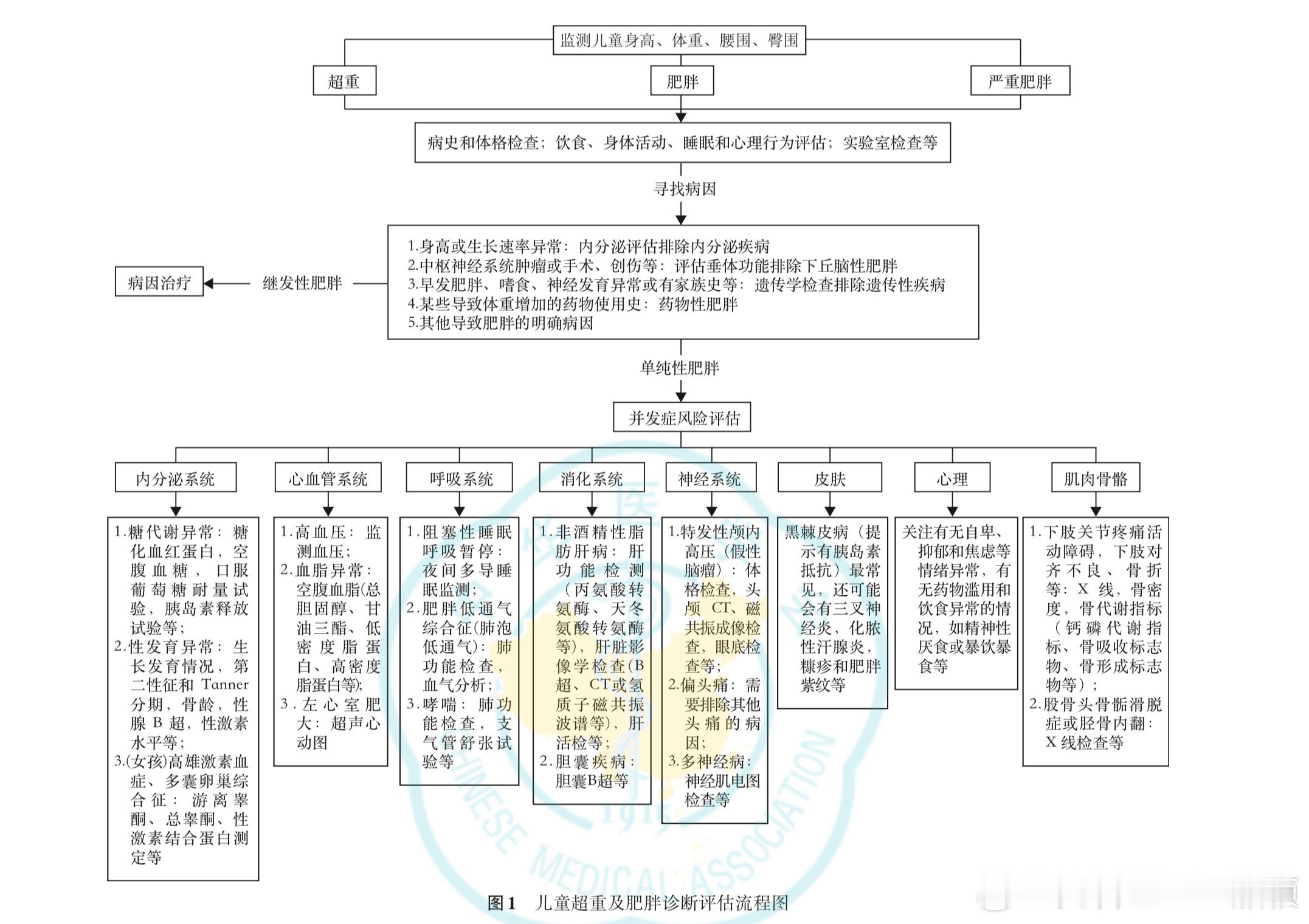 2024年，关键词，热辣滚烫，把青少年的体重问题也拉上了水面。超重和肥胖，的确是