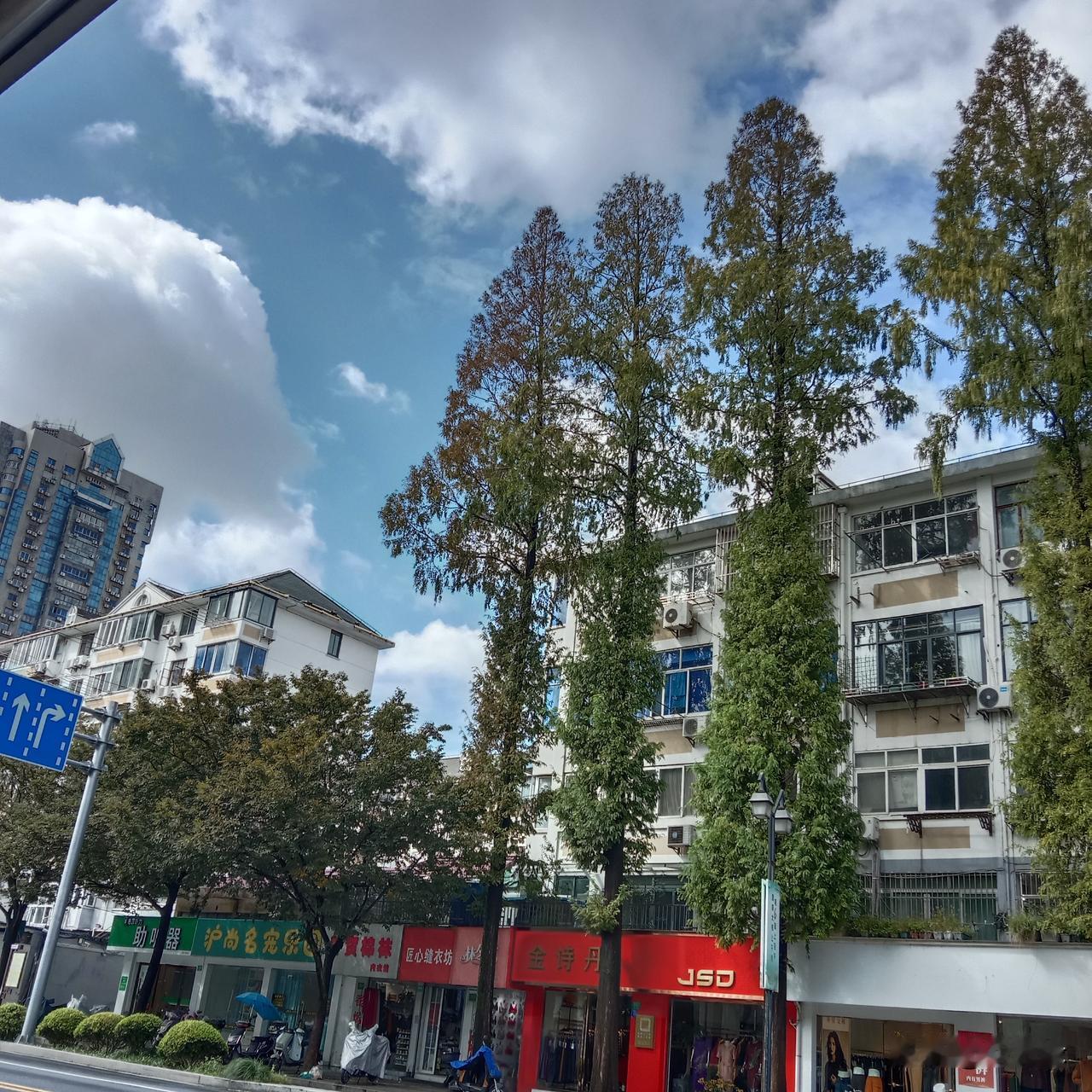 今天周日，是跑步休息日。
经过一周的坚持看看这周我又跑了多少？
不是因为我懶了，