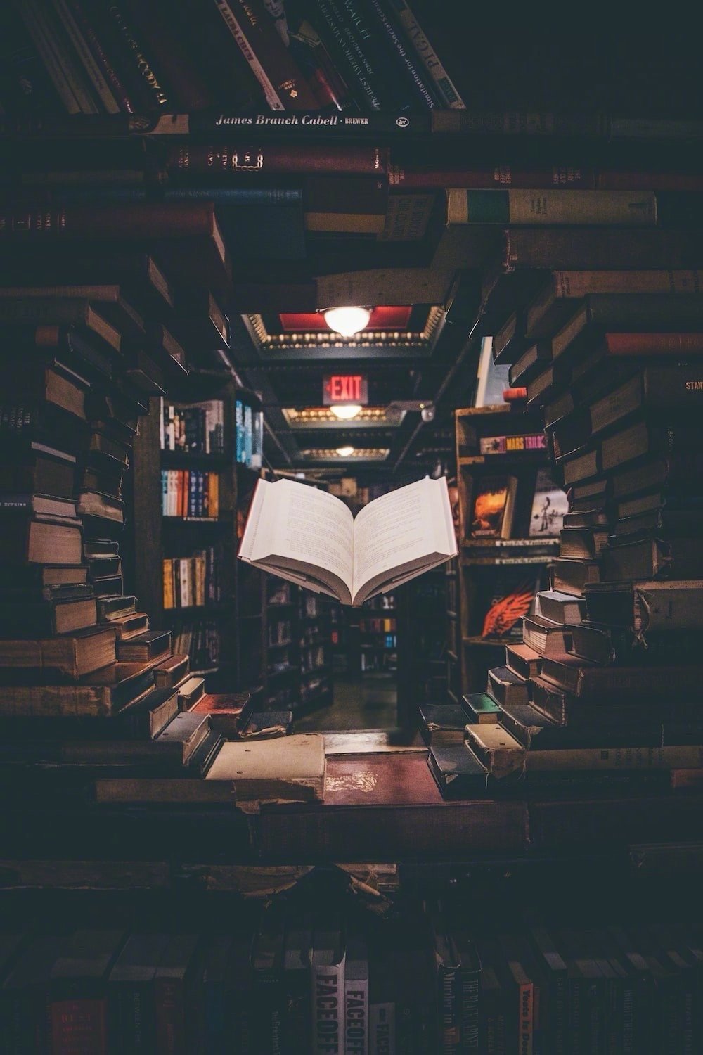 所谓“某种学问”，通常只是偏于某一个角度来理解这个世界。智慧，则采撷所有的角度来