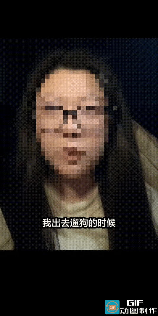 苏州一女子带4个多月大的小狗在景区边上遛弯，狗狗突然蹿到车道上，被一辆白色传祺撞