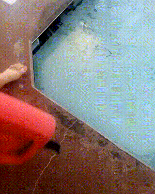 脚气还能净化水质？！