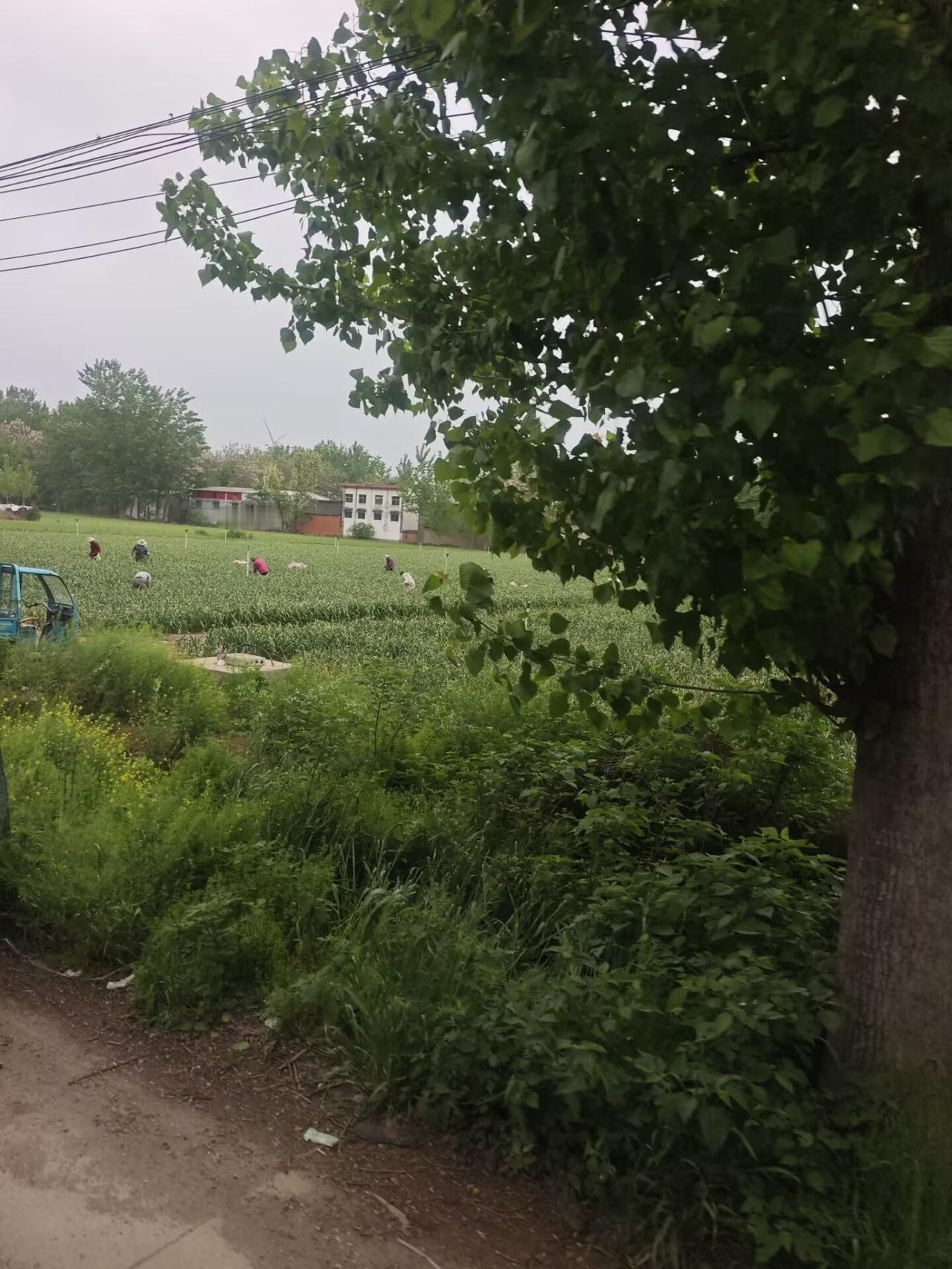 我特别想知道
一个女人要是有
100克黄金压箱底
30万存款
一套全款写自己名字