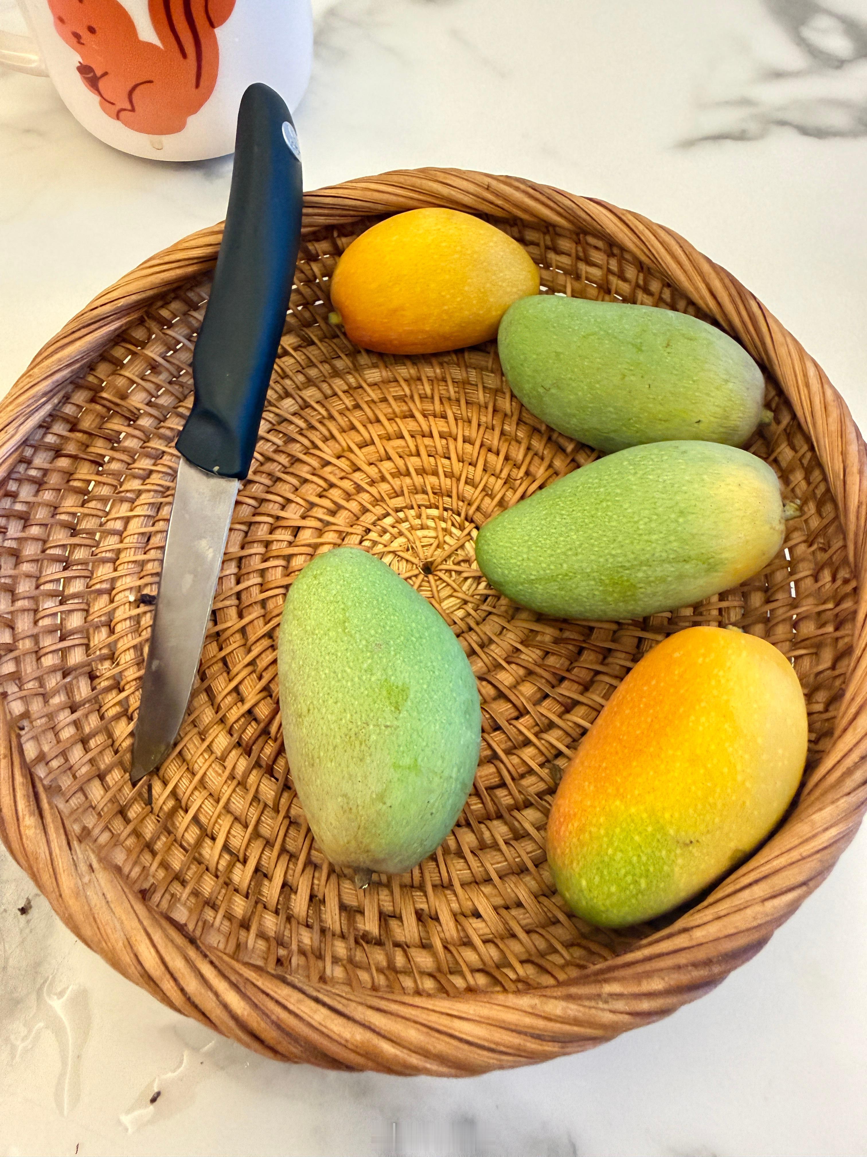 回到家发现旅蛙把芒果全吃了，留了几个美熟的。昨天他也是这样把西瓜全吃了上次他把我