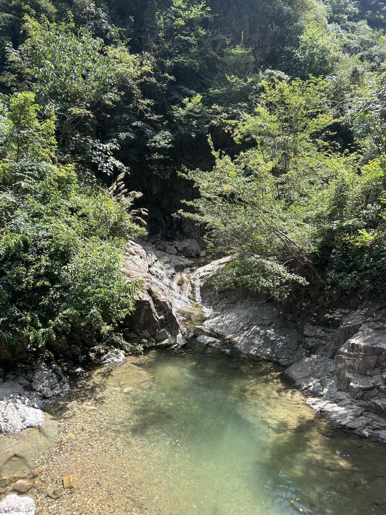 忙到连风的味道都快忘了，好久没扎进山里，整个人都像被闷在城市里。
 
这个周末总