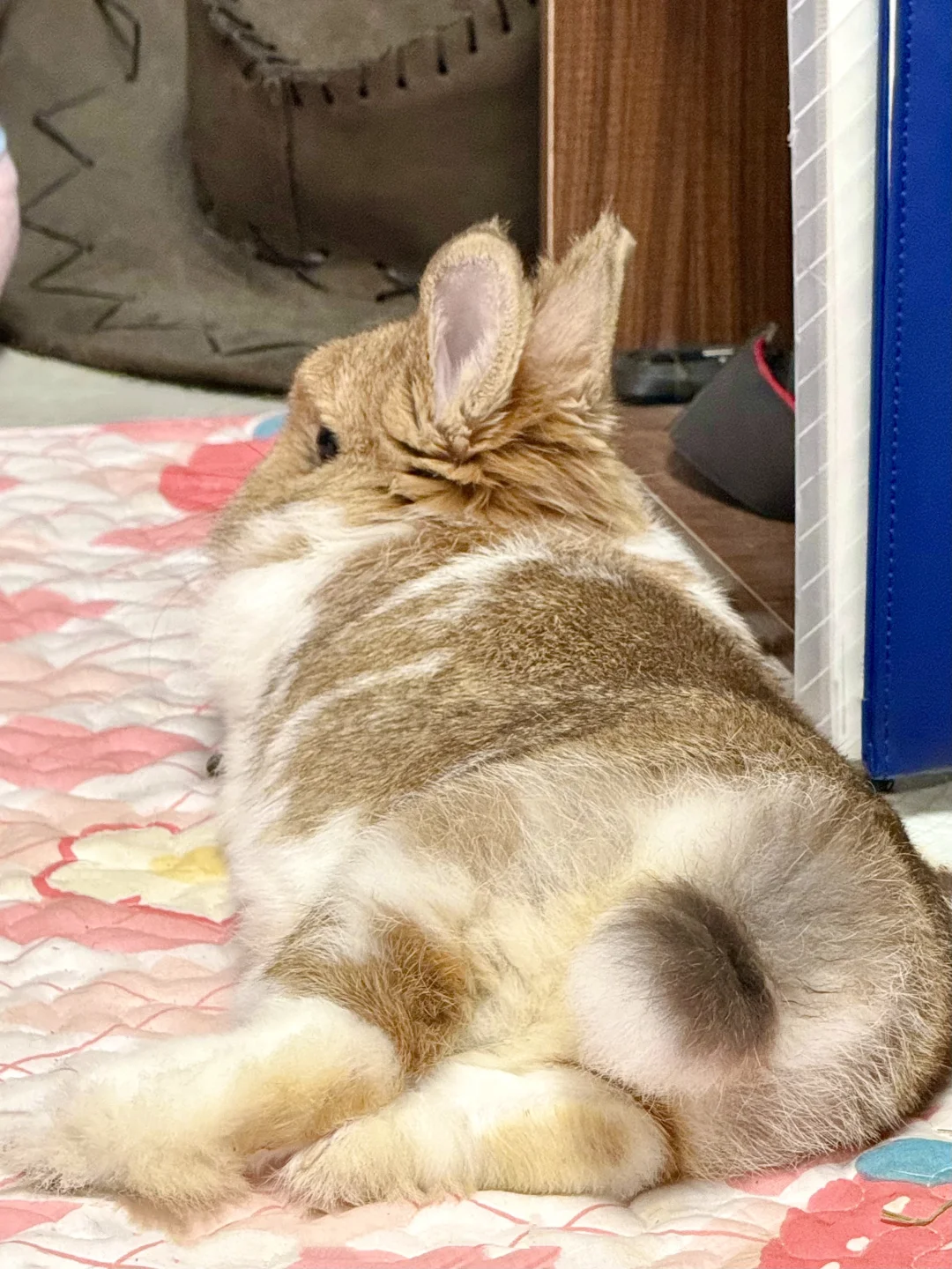 谁敢闻