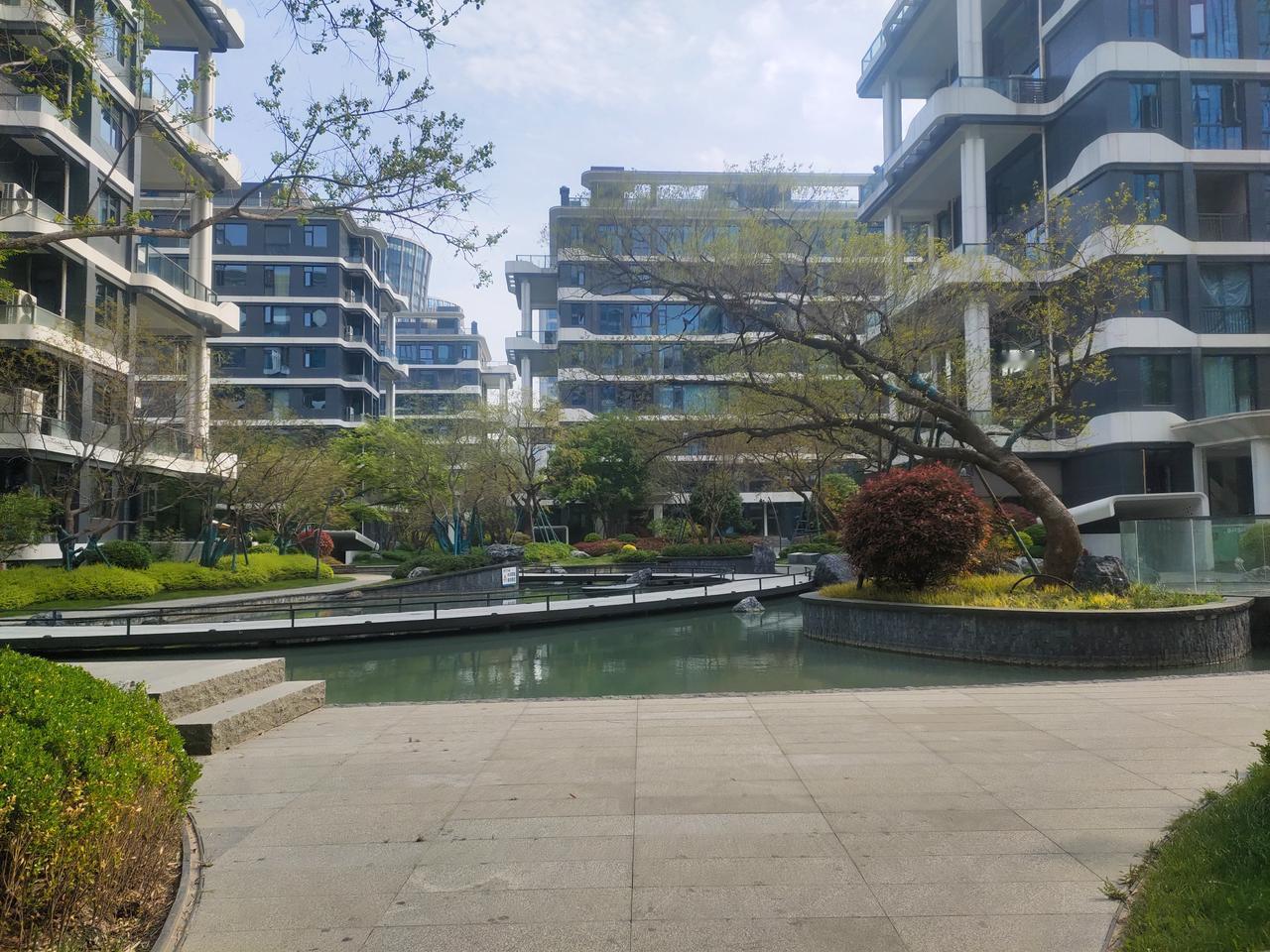 早晨的小区绿意盎然，空气清新，静谧的池塘与高楼相映成趣。😊🌿