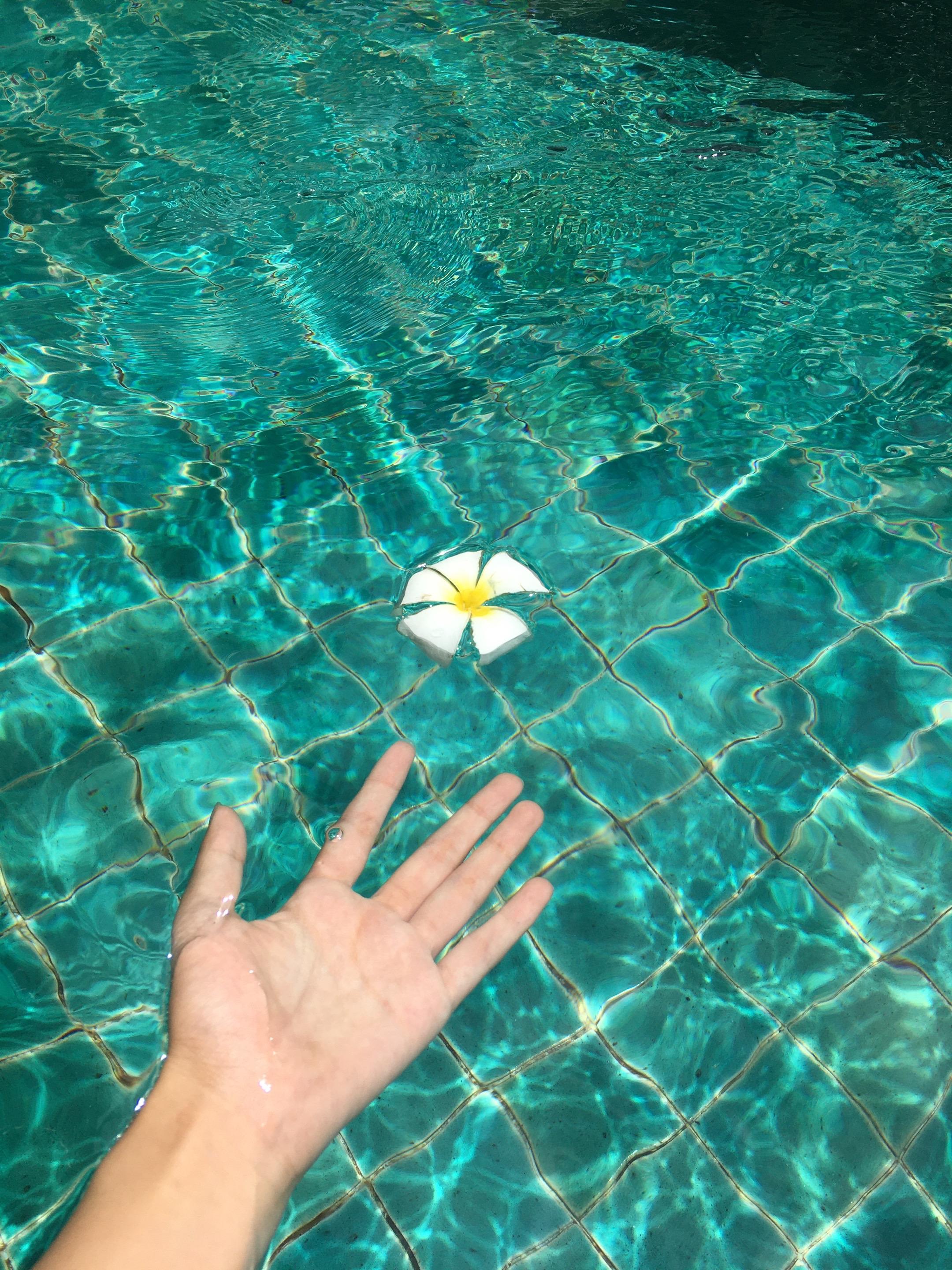 18年的夏天🌊