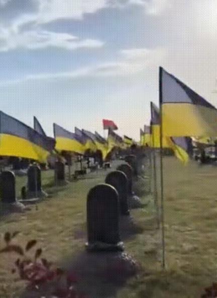 红军城战场清理开始！俄军遗体回收队发现惊人比例，乌军阵亡者中外国面孔超三成，个别