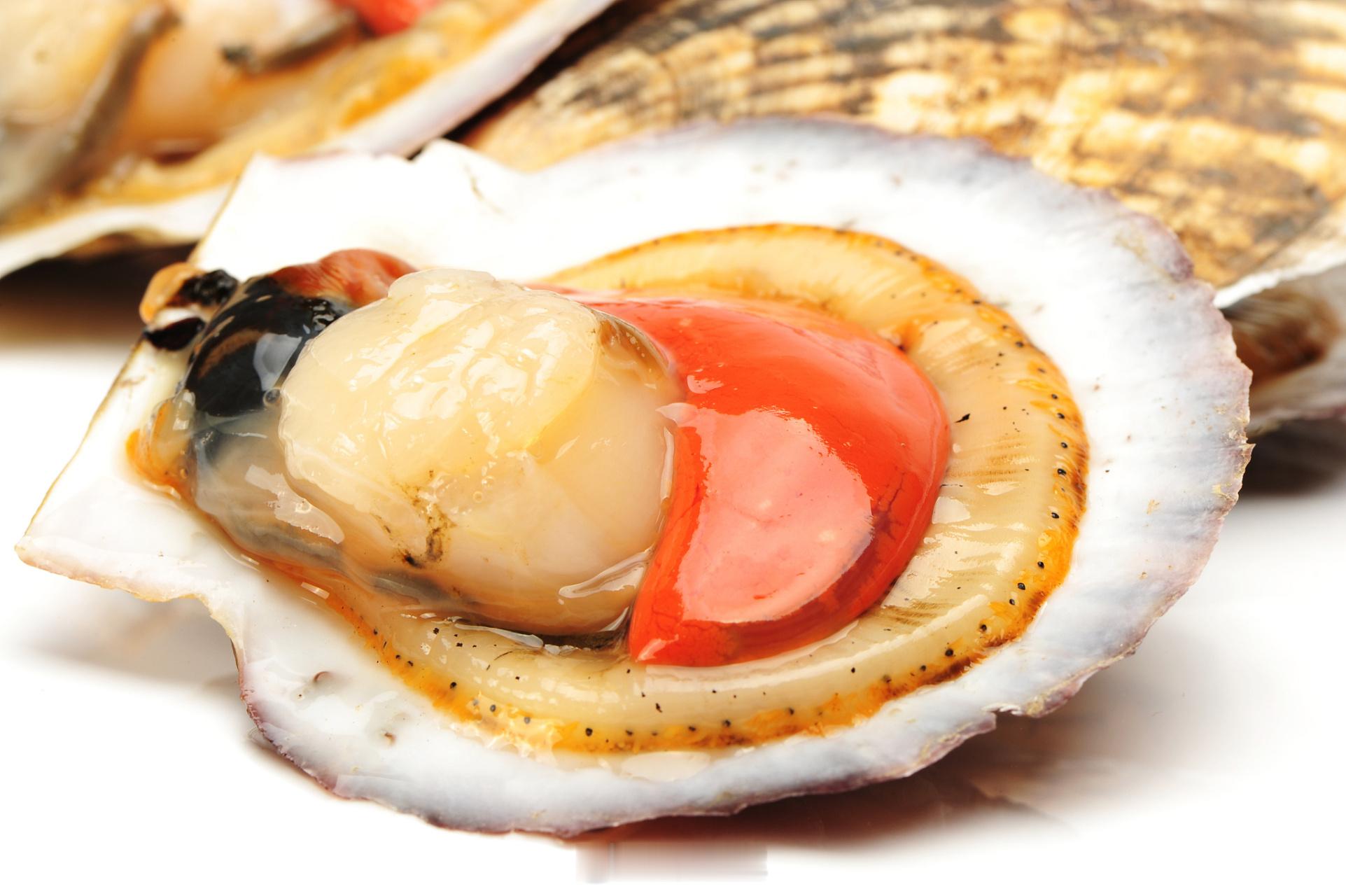 日本扇贝已出口至中国 大家赶紧尝鲜！日本扇贝安全可靠，放心食用。注意到，日本的扇