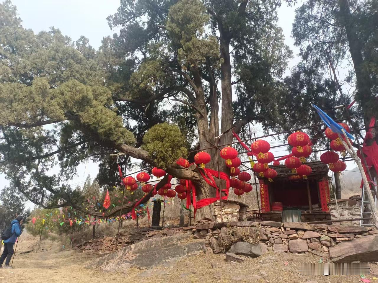 梁东方
前头庄的确是在前头，在山谷的前头。一直到好像再没有前头的村子了，就到了前
