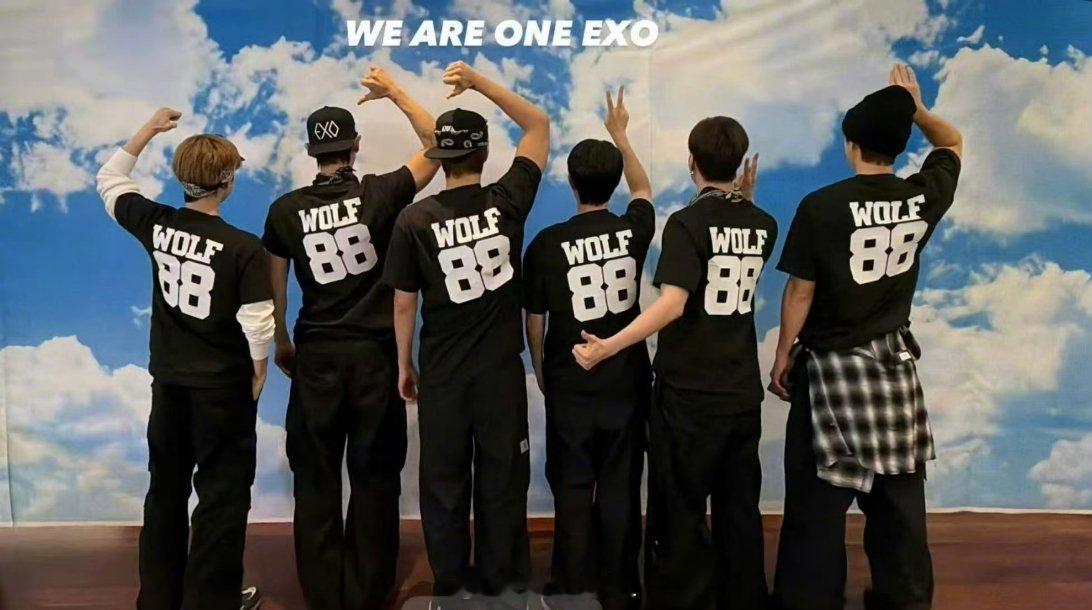 时隔多少年已经数不清楚了，居然还有朝一日能够看到EXO的合体合照，这蓝天白云的背