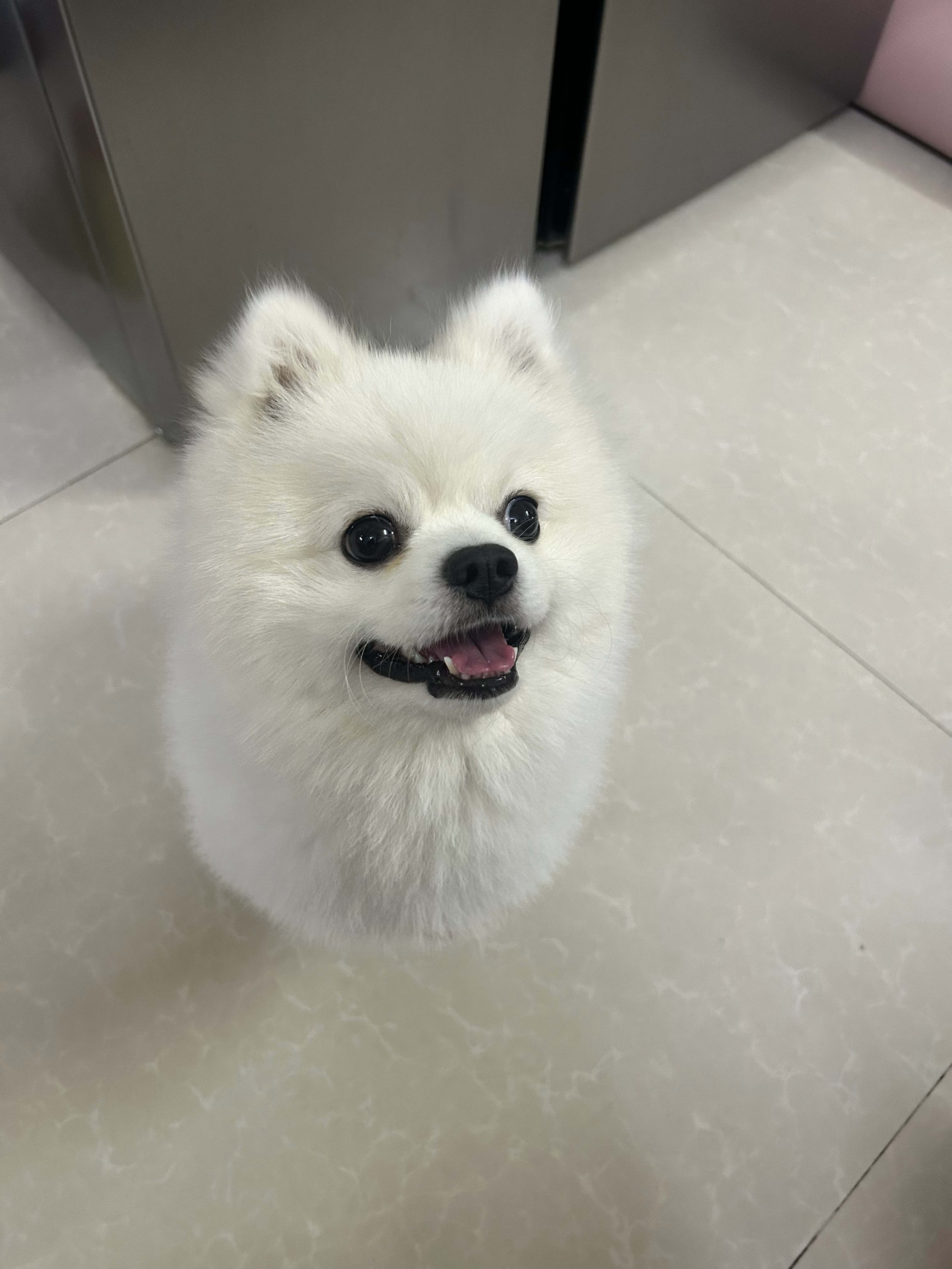 宝宝啊 