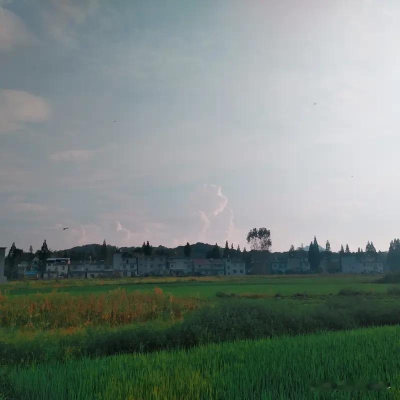 回不去的叫家乡 回不去的叫家乡，这话太扎心了。小时候，家乡是白云绿水间的童年足迹