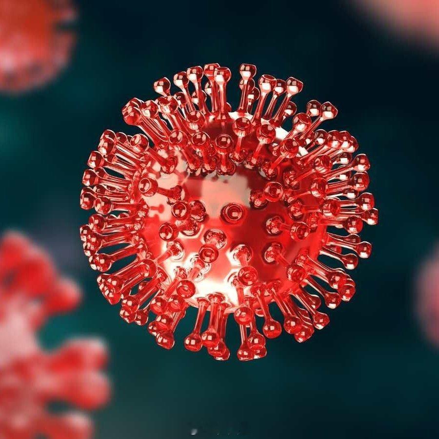 刚刚收到信息:日本和泰国科学家在泰国发现了蝙蝠(马蹄形)中一种新的冠状病毒，该病