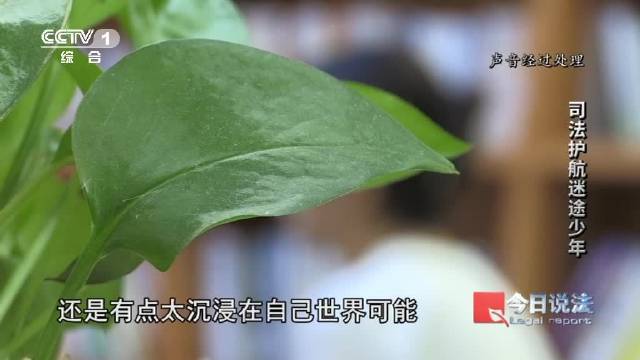 #17岁少年8次盗窃父母收到督促监护令#【#司法帮教让罪错未成年人重返正轨#】17岁的小林8次盗窃基