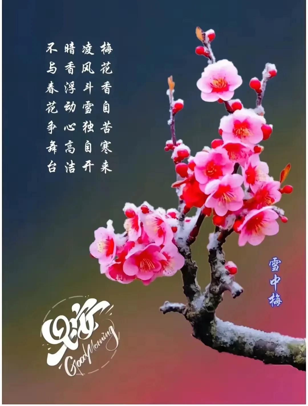 每一个清晨，都是世界对你说的最温柔的早安。无论昨日如何，今日都是新生，带着希望，