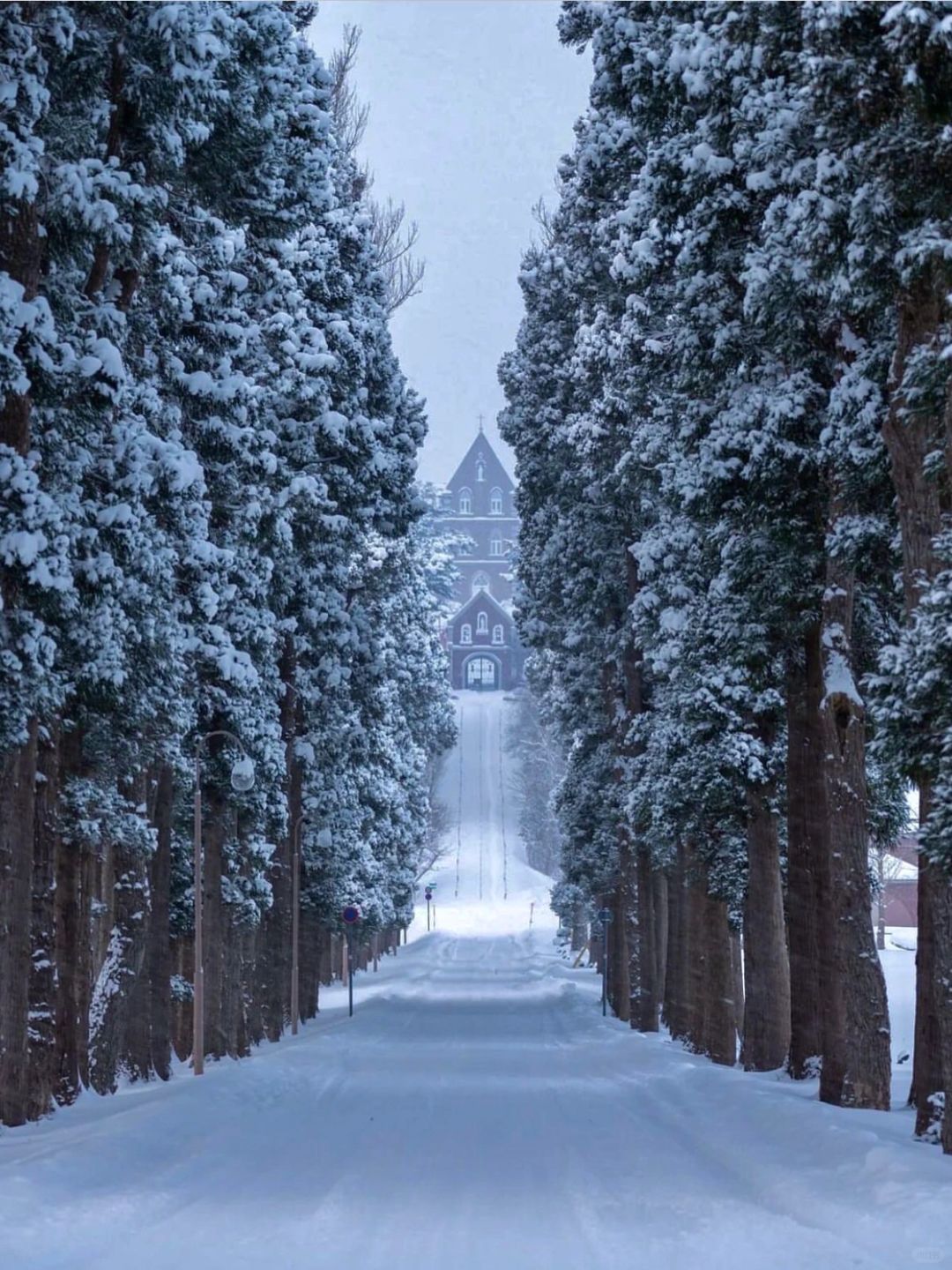日本北海道❄️绝美修道院 冬日森林童话世界！