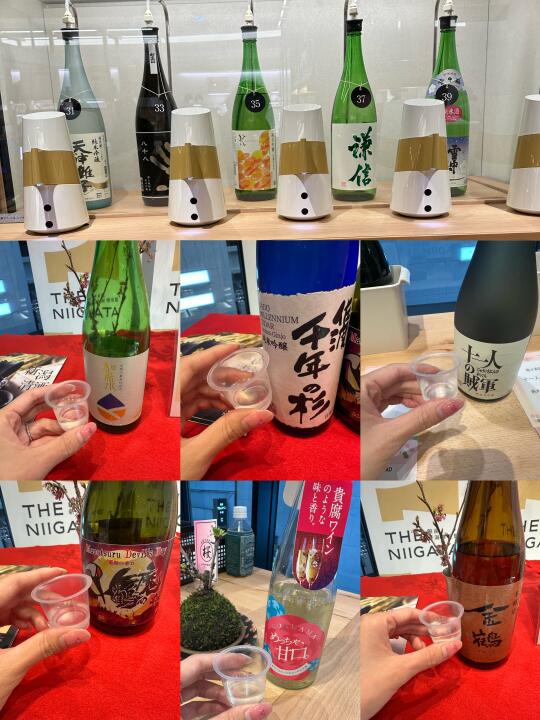 銀座🇯🇵|新泻回来sake🍶后劲🈶点足‼️