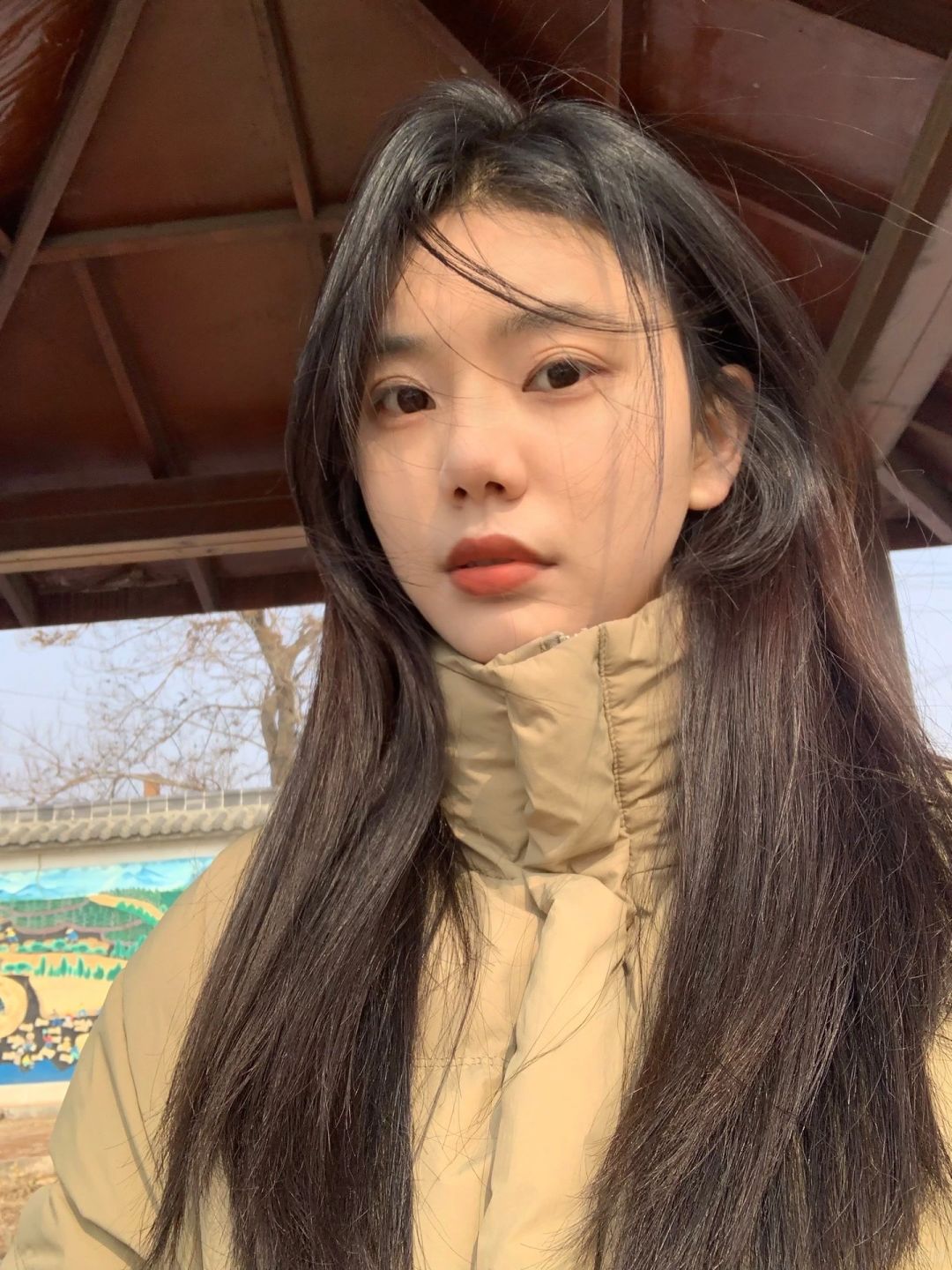 今天的天气🌬️🌬️🌬️