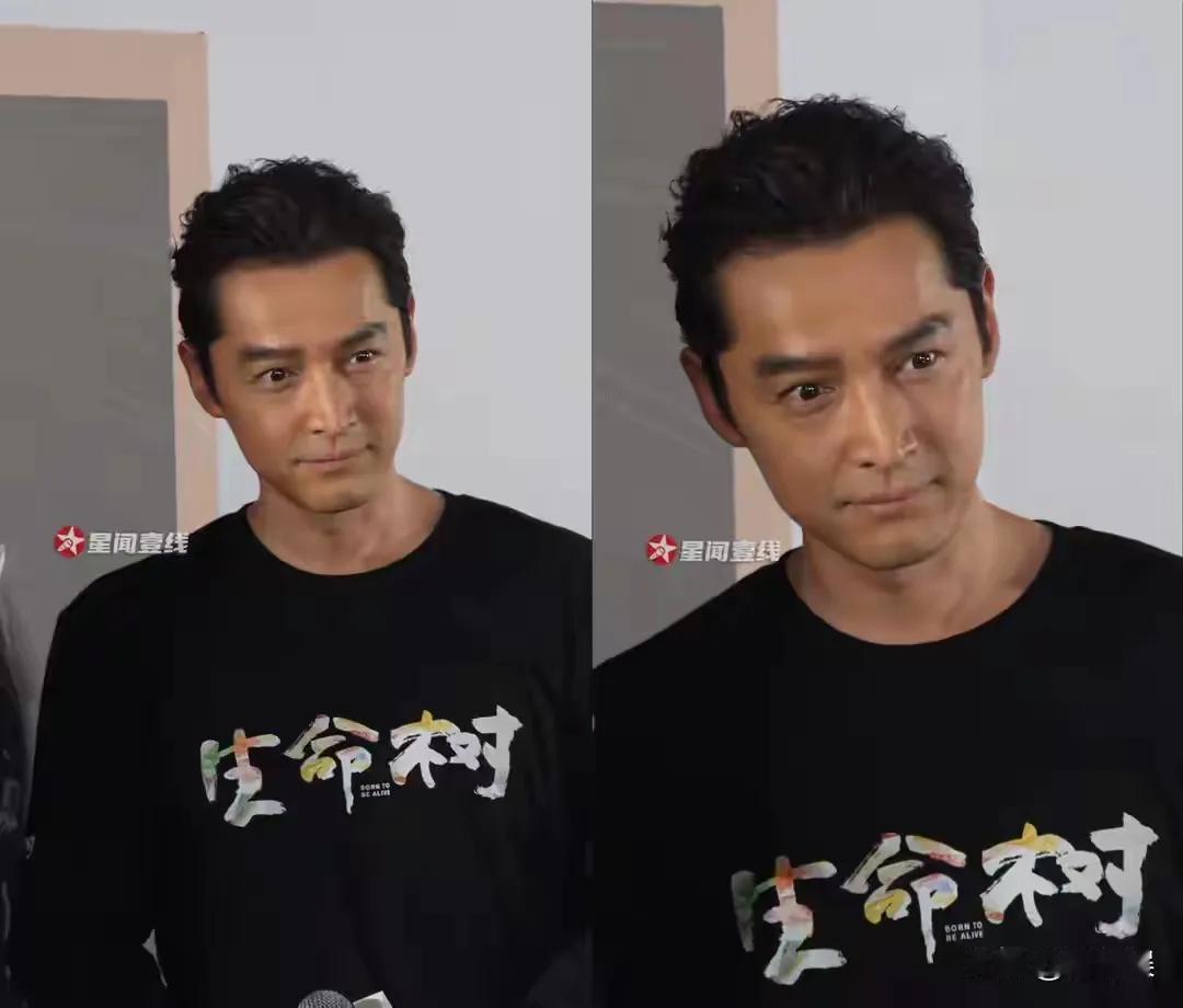 强颜欢笑的胡歌，勉强挤出的笑容像哭一样，眼中带泪，腮帮还有点浮肿，两眼无光，怒视