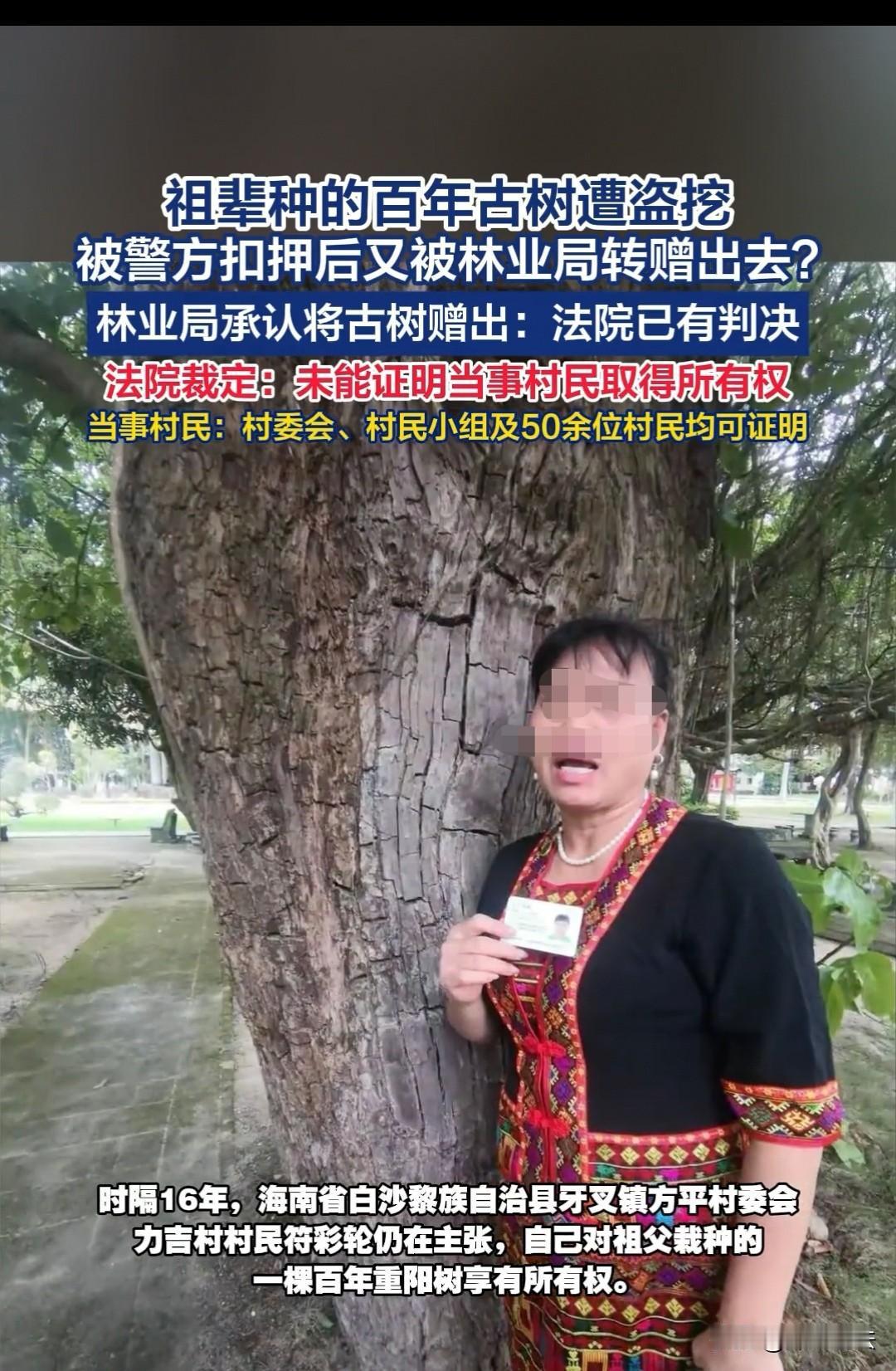 海南，一棵承载家族几代记忆、估值高达207万的祖栽古树，莫名深夜被盗。家属第一时