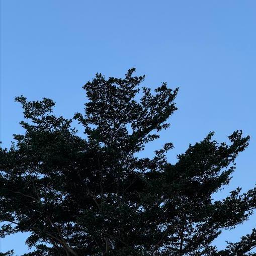 同一天   五位70后博士赴（在）四省份履新
 
11月27日，五位70后博士赴