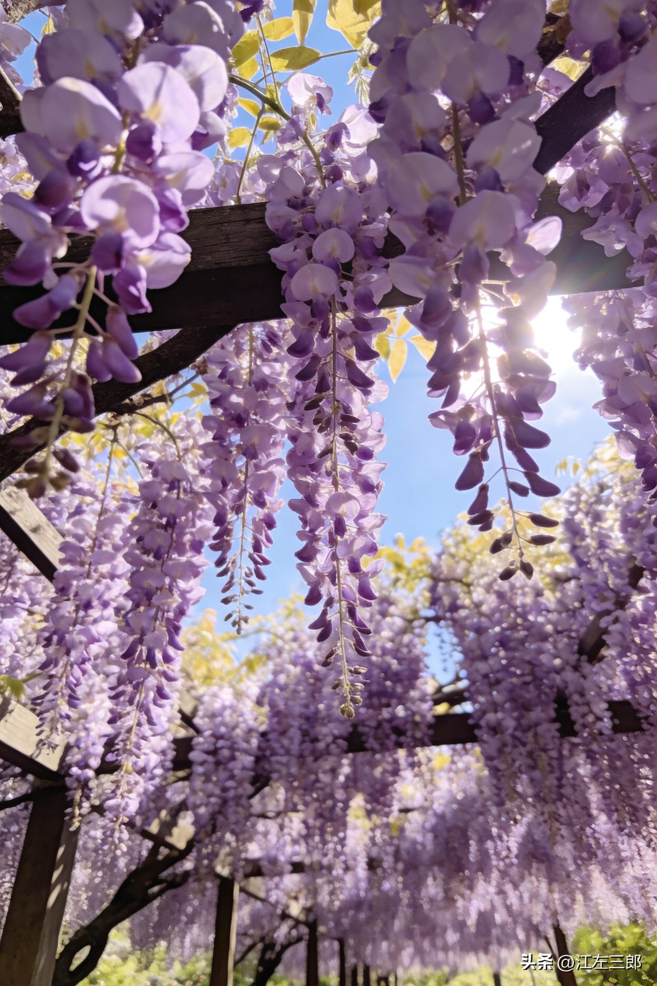 王立群教授说：
“教你个最狠的识人术，一辈子都管用。你想看透一个人，​别去分析他