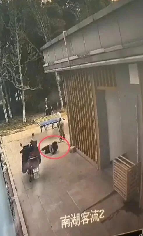 安徽铜陵。
12岁男孩在公园内室外乒乓球场地打乒乓球，78岁老人在球场边的垃圾桶