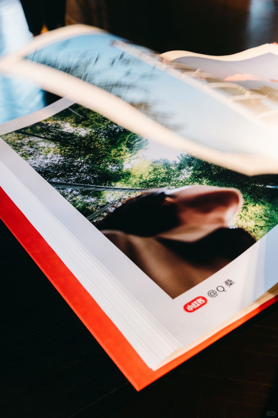 散步摄影展｜人生第一次！入选了摄影展