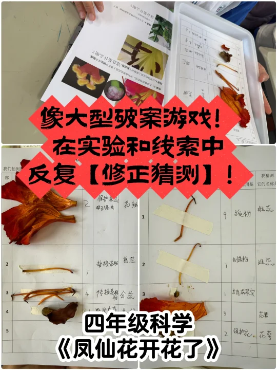“老师别卖关子了，快告诉我吧”🤣