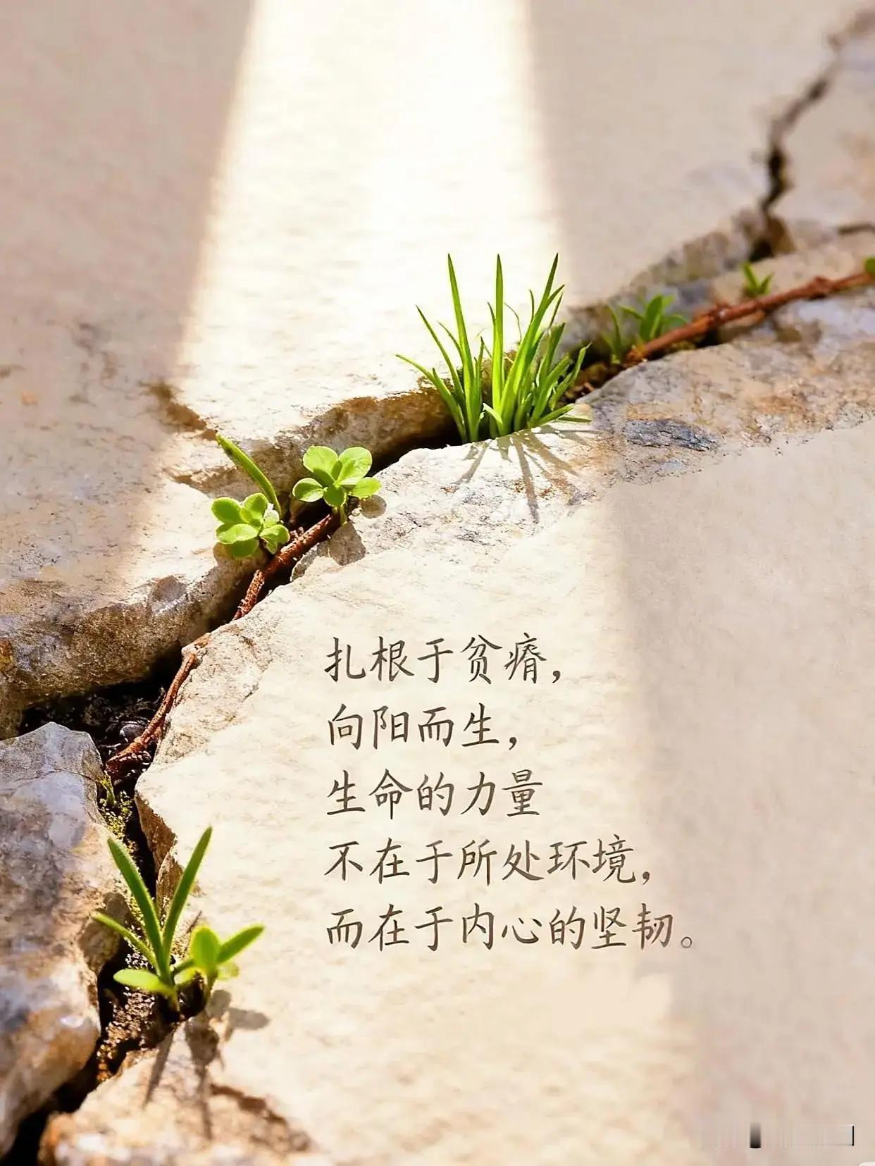 《卜算子·悟心》

枉费旁人一片心，
苦劝难开痴人闷。
纵有良谋扶一程，
不醒终