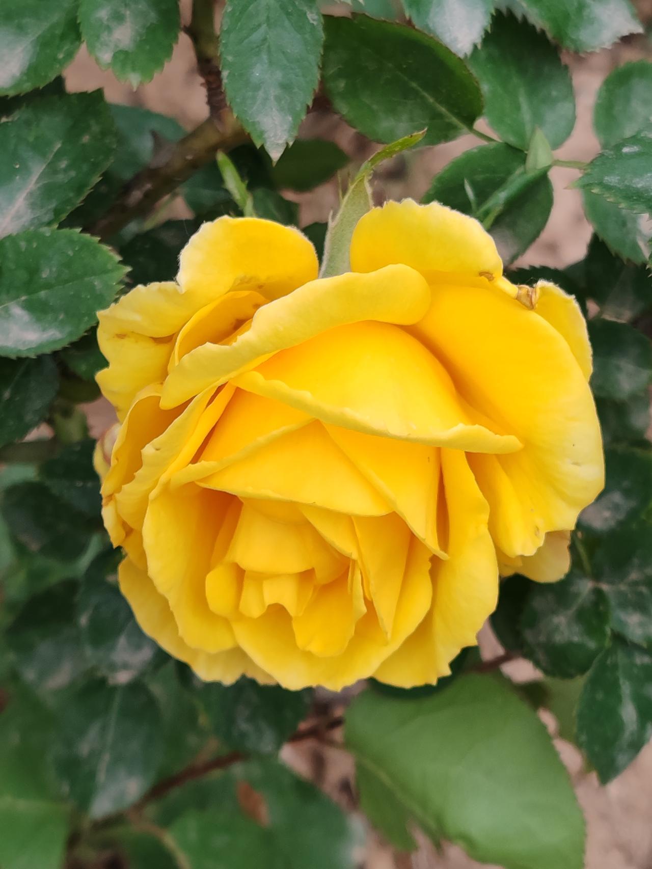 老三叫郭圈吧，圈财圈线圈福气。