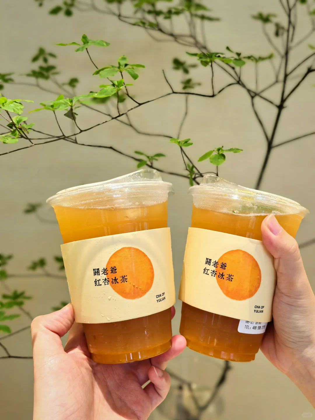 炎炎夏日一口红杏冰茶拯救了我，冰冰凉凉的的感觉一秒降温，咕咚咕咚一口气...