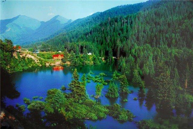 甘南草原限定浪漫如果要寻找西北最温柔的旷野，答案一定是盛夏的甘南草原。驱车深入美