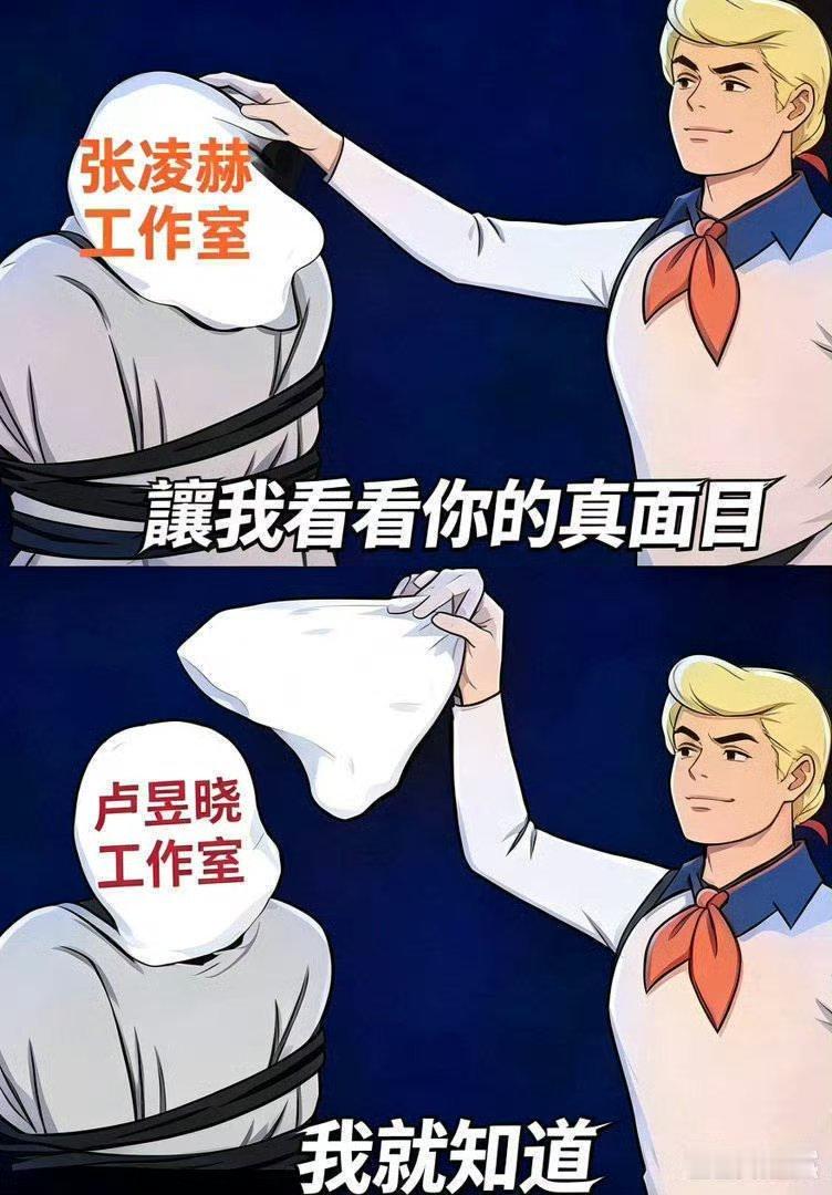 张凌赫粉丝被工作室取消线下名额麻袋 